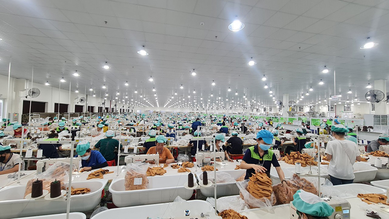 Hình ảnh hoạt động sản xuất bên trong nhà xưởng của Innoflow NT tại KCN Du Long