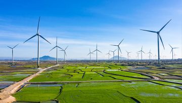 Trung Nam Wind farm projects in Thuan Bac District