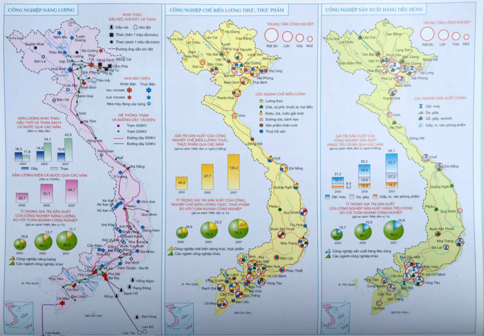 Vietnam currently has 6 types of Industrial zones based on their characteristics, functions, natural resources, and unique challenges